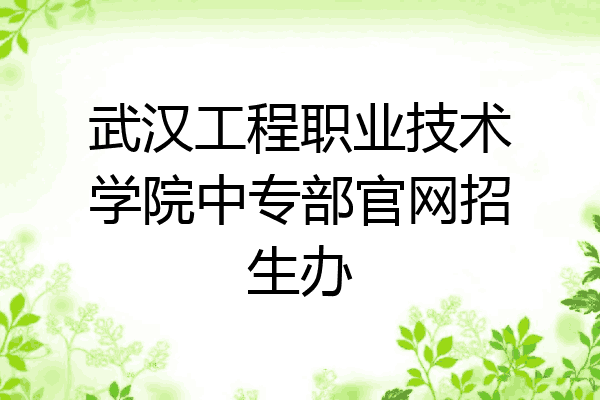 武汉工程职业技术学院中专部官网招生办