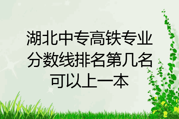 湖北中专高铁专业分数线排名第几名可以上一本