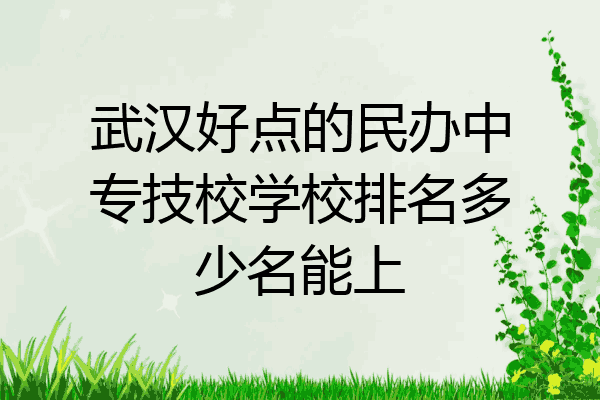 武汉好点的民办中专技校学校排名多少名能上