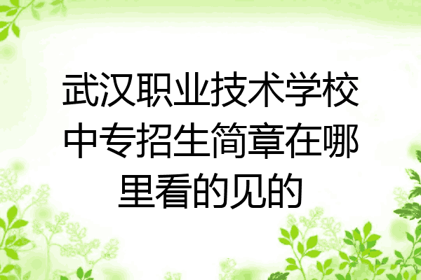 武汉职业技术学校中专招生简章在哪里看的见的