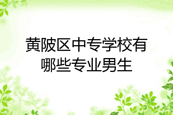 黄陂区中专学校有哪些专业男生