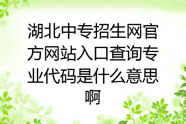 湖北中专招生网官方网站入口查询专业代码是什么意思啊
