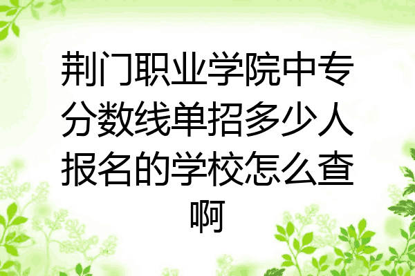 荆门职业学院中专分数线单招多少人报名的学校怎么查啊
