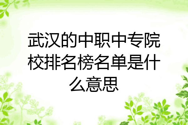 武汉的中职中专院校排名榜名单是什么意思