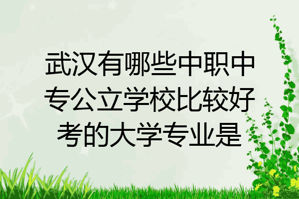 武汉有哪些中职中专公立学校比较好考的大学专业是