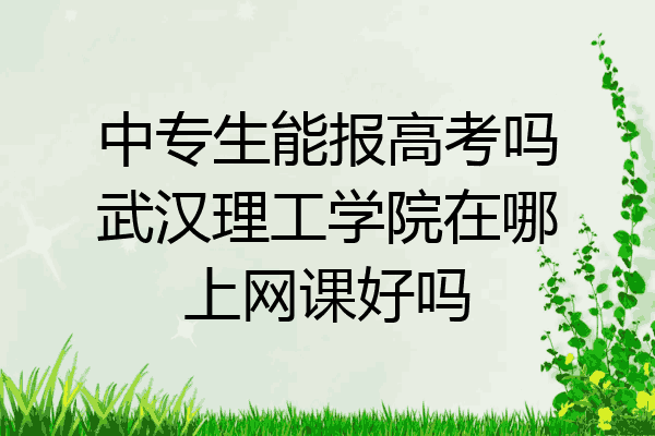 中专生能报高考吗武汉理工学院在哪上网课好吗