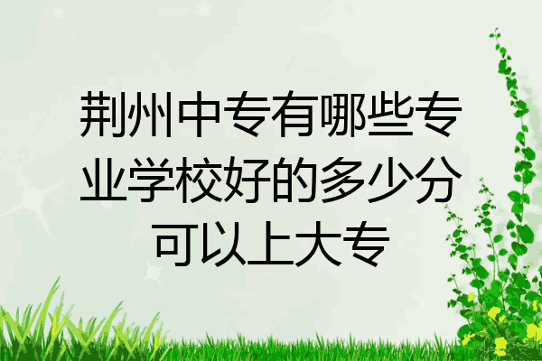 荆州中专有哪些专业学校好的多少分可以上大专