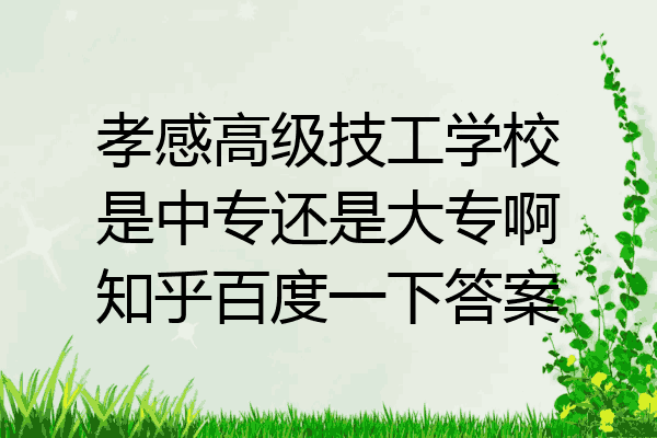孝感高级技工学校是中专还是大专啊知乎百度一下答案