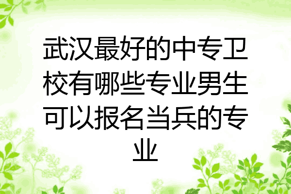 武汉最好的中专卫校有哪些专业男生可以报名当兵的专业
