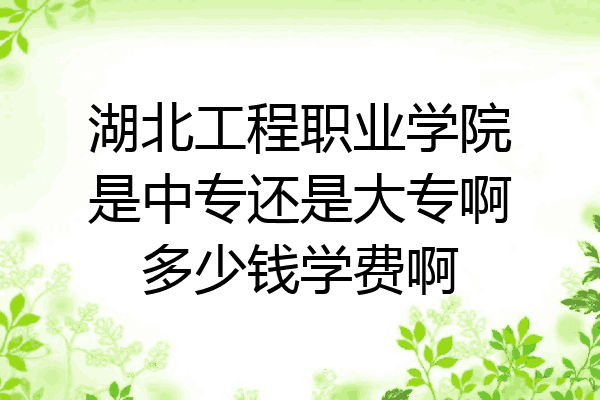 湖北工程职业学院是中专还是大专啊多少钱学费啊