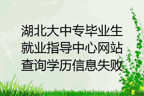 湖北大中专毕业生就业指导中心网站查询学历信息失败
