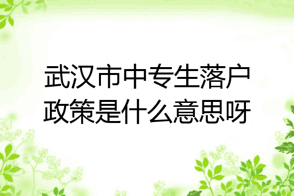 武汉市中专生落户政策是什么意思呀