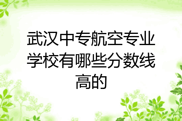 武汉中专航空专业学校有哪些分数线高的
