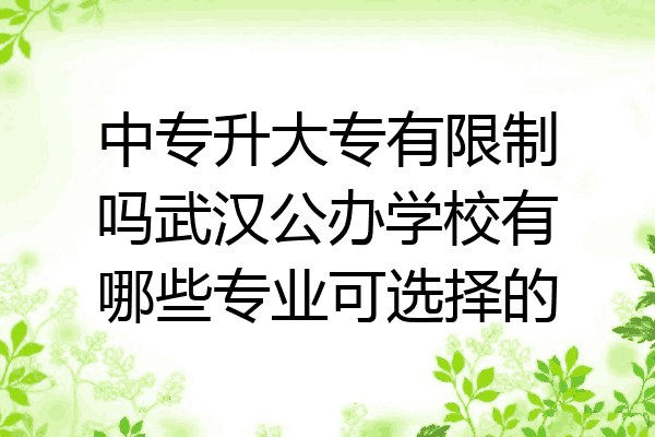 中专升大专有限制吗武汉公办学校有哪些专业可选择的