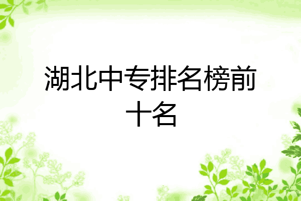 湖北中专排名榜前十名