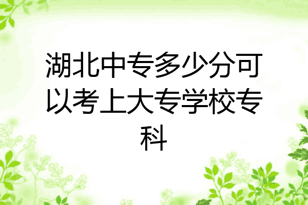 湖北中专多少分可以考上大专学校专科