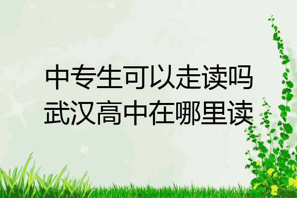 中专生可以走读吗武汉高中在哪里读