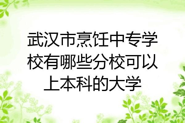 武汉市烹饪中专学校有哪些分校可以上本科的大学