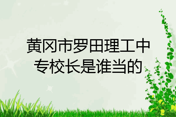 黄冈市罗田理工中专校长是谁当的