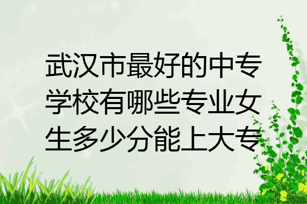 武汉市最好的中专学校有哪些专业女生多少分能上大专