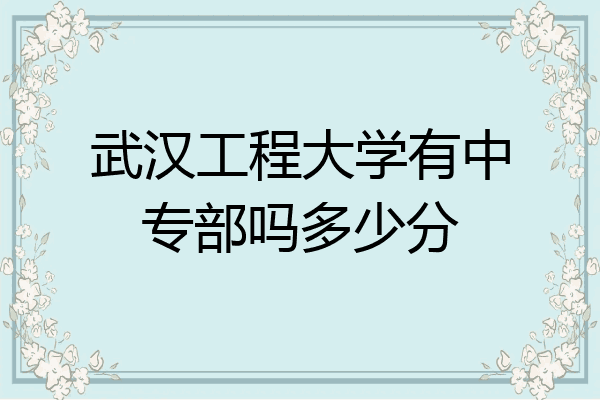 武汉工程大学有中专部吗多少分
