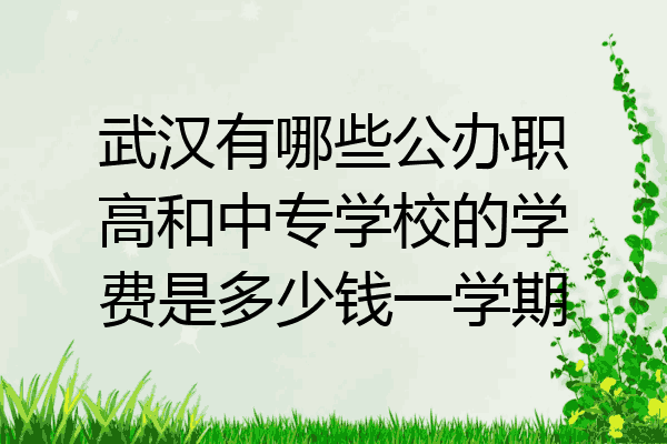 武汉有哪些公办职高和中专学校的学费是多少钱一学期