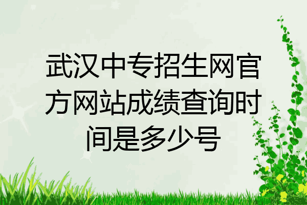 武汉中专招生网官方网站成绩查询时间是多少号