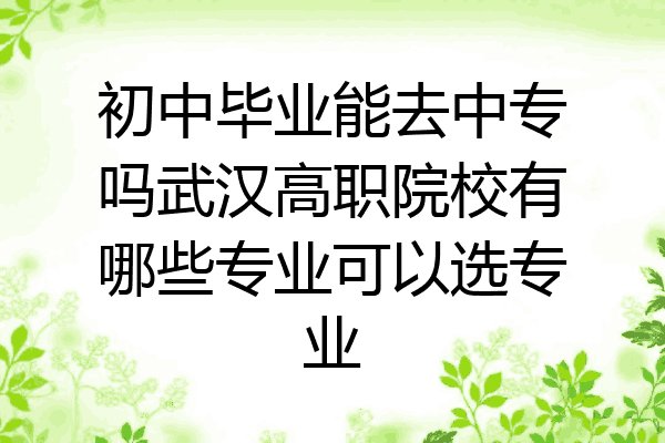 初中毕业能去中专吗武汉高职院校有哪些专业可以选专业
