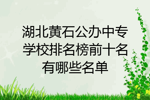 湖北黄石公办中专学校排名榜前十名有哪些名单