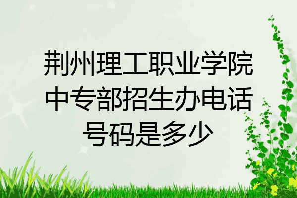 荆州理工职业学院中专部招生办电话号码是多少