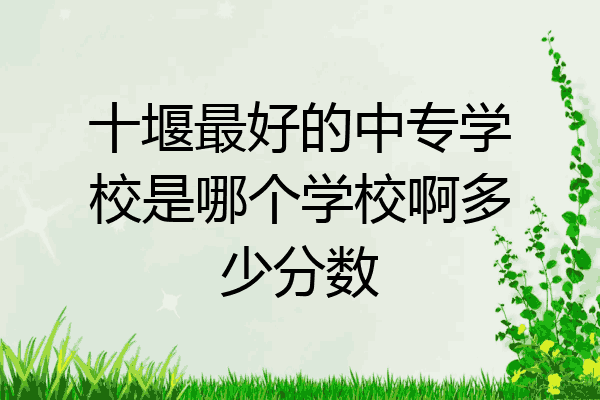 十堰最好的中专学校是哪个学校啊多少分数