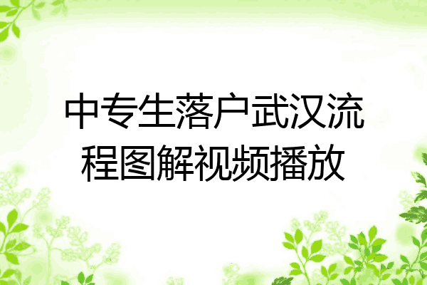 中专生落户武汉流程图解视频播放