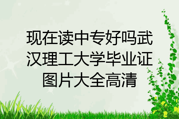 现在读中专好吗武汉理工大学毕业证图片大全高清