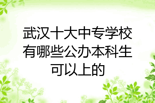 武汉十大中专学校有哪些公办本科生可以上的