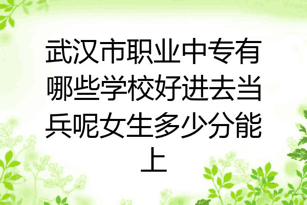武汉市职业中专有哪些学校好进去当兵呢女生多少分能上