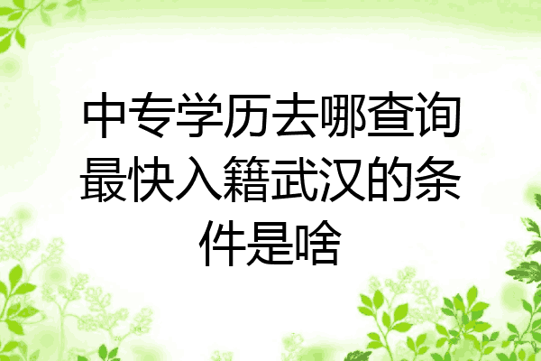 中专学历去哪查询最快入籍武汉的条件是啥