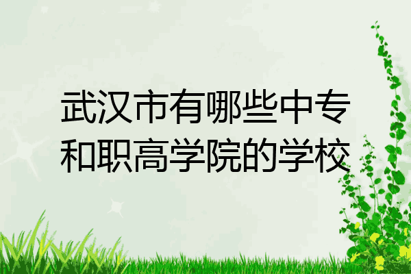 武汉市有哪些中专和职高学院的学校