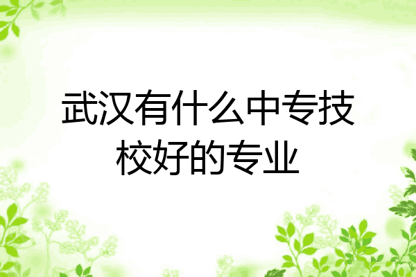 武汉有什么中专技校好的专业