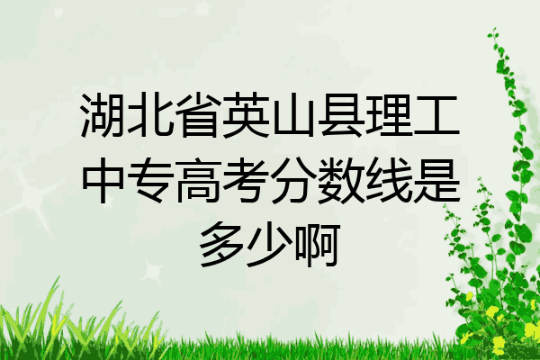 湖北省英山县理工中专高考分数线是多少啊