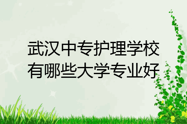 武汉中专护理学校有哪些大学专业好