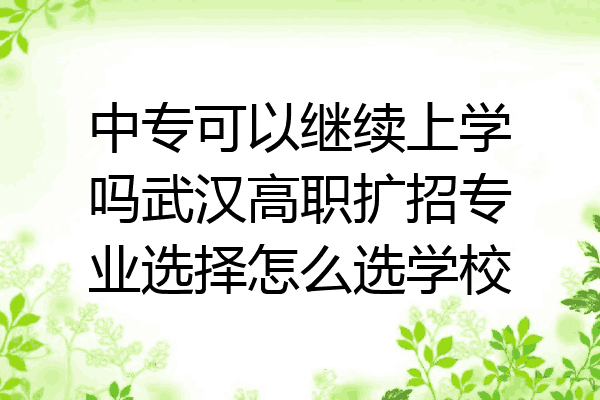 中专可以继续上学吗武汉高职扩招专业选择怎么选学校