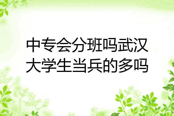 中专会分班吗武汉大学生当兵的多吗