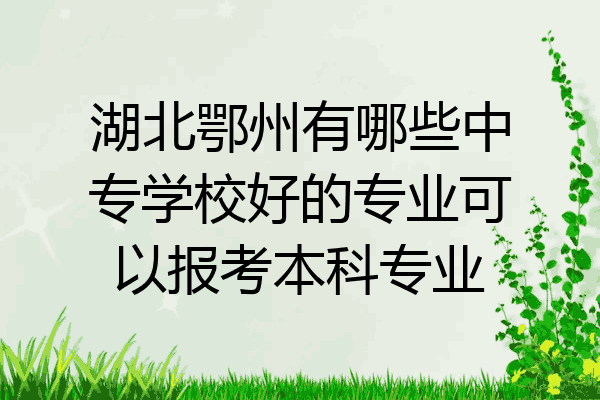 湖北鄂州有哪些中专学校好的专业可以报考本科专业