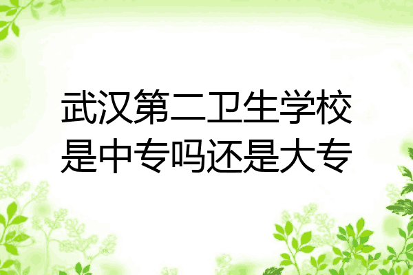 武汉第二卫生学校是中专吗还是大专