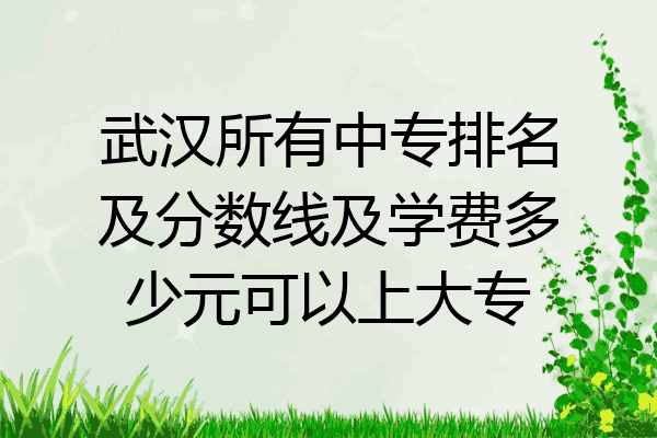 武汉所有中专排名及分数线及学费多少元可以上大专