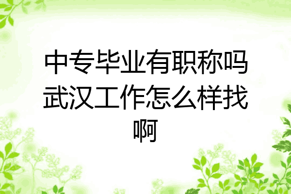中专毕业有职称吗武汉工作怎么样找啊