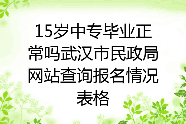 15岁中专毕业正常吗武汉市民政局网站查询报名情况表格