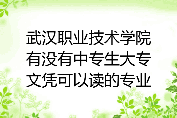 武汉职业技术学院有没有中专生大专文凭可以读的专业