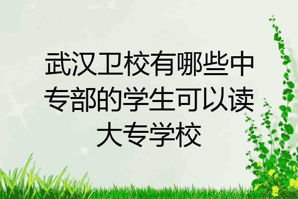 武汉卫校有哪些中专部的学生可以读大专学校