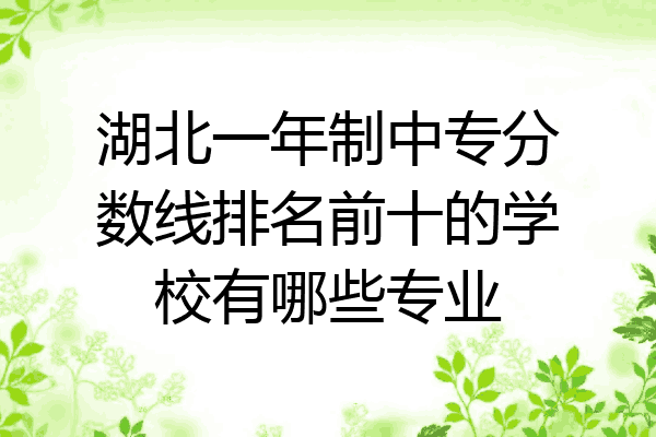 湖北一年制中专分数线排名前十的学校有哪些专业